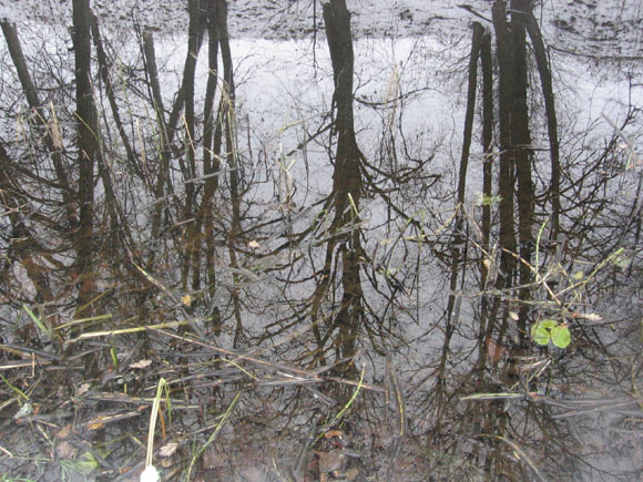 ...tikrov� �veikia sapno skamb�jim�...