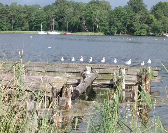 Trakai. Kita stotel� - kibinin�