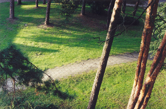 Druskininkai. Dar vos vos - ir viskas �tirps vyzd�i� atmintin