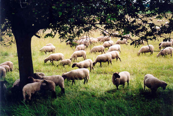 �eduva, 2004