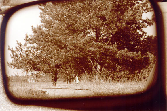 Ukmerg�, 2004
